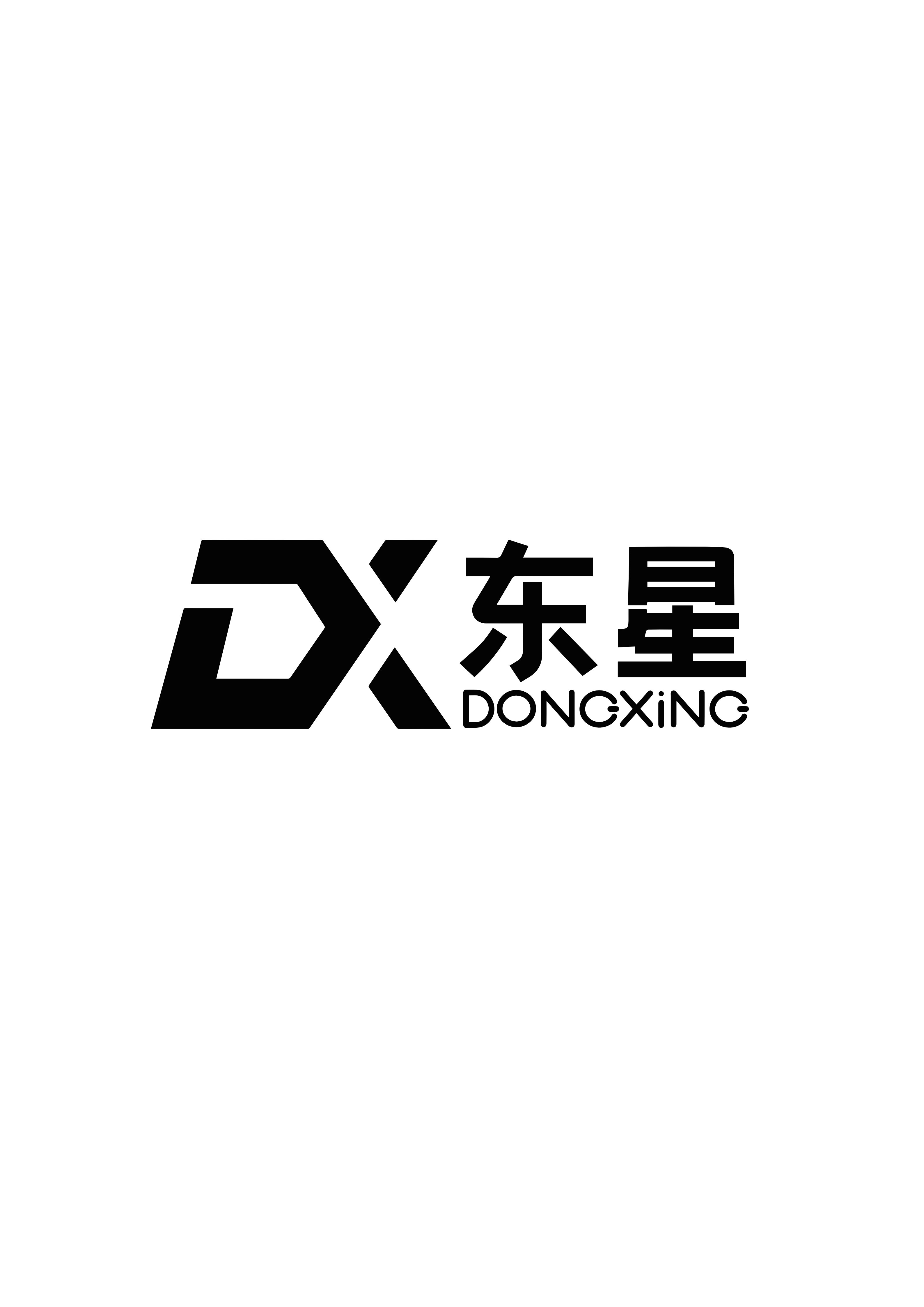 湖南东星新材料有限公司